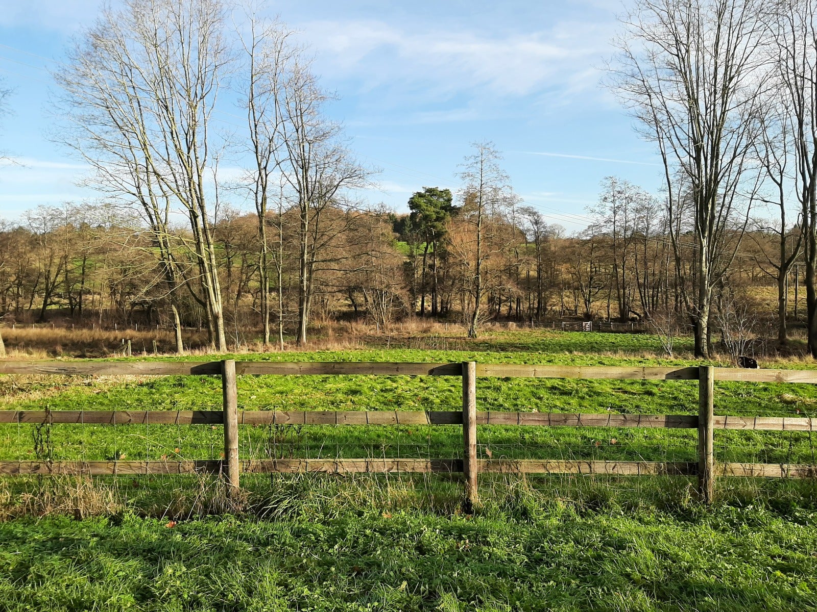 House Yeldersley Lane in Derbyshire Dales