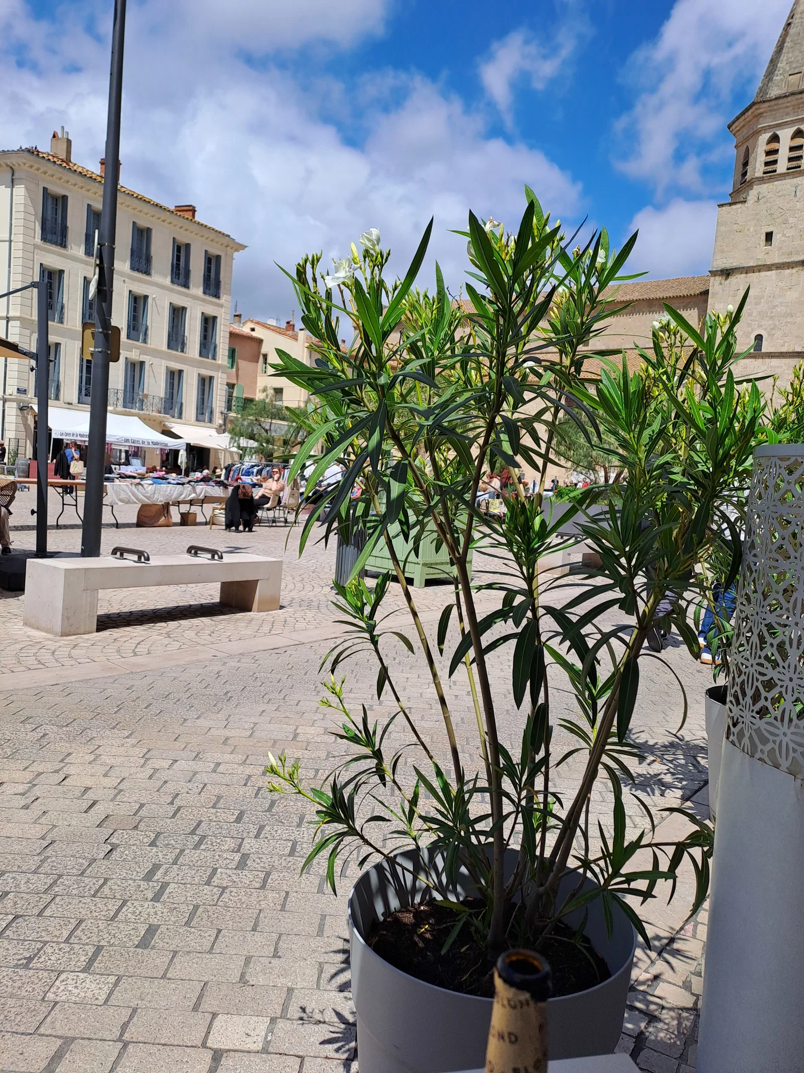 Chambre Rue Grace de Monaco à Agde
