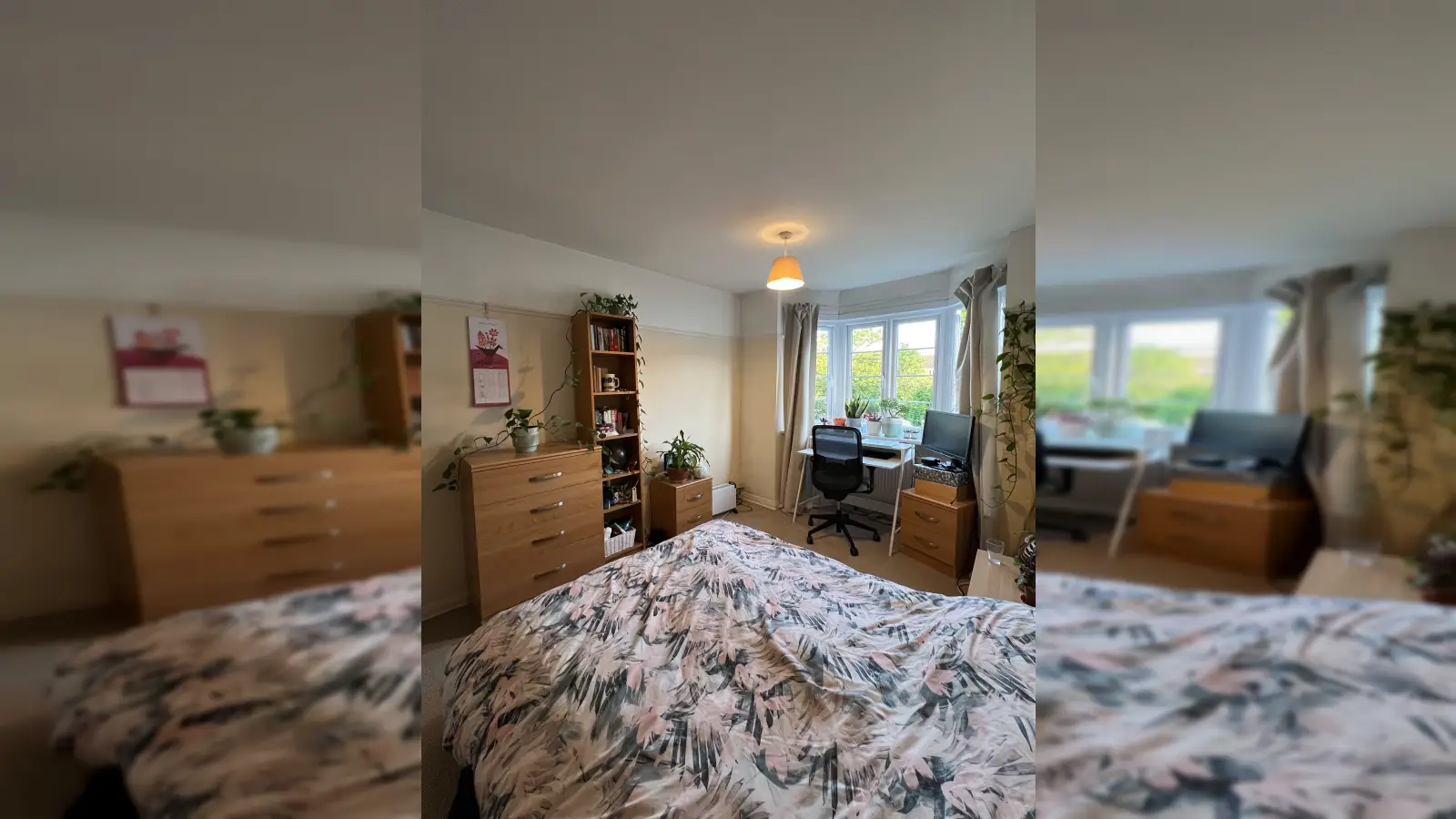 Room Elgin Road in Greater London