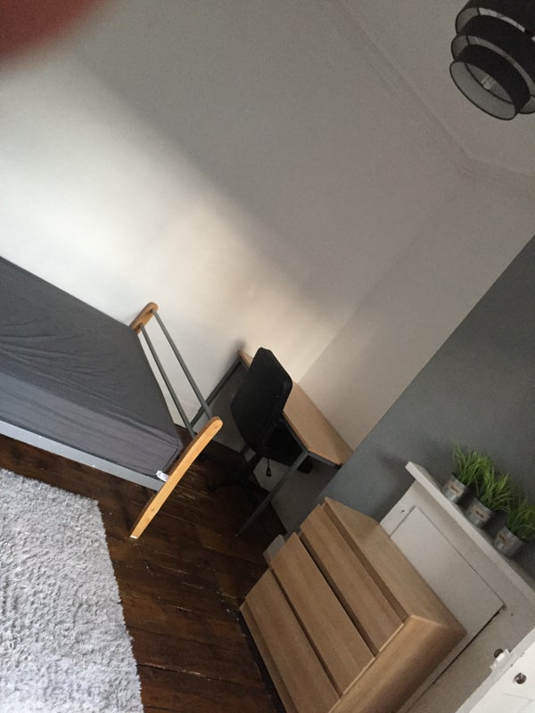 Room Meadow Terrace in Sheffield