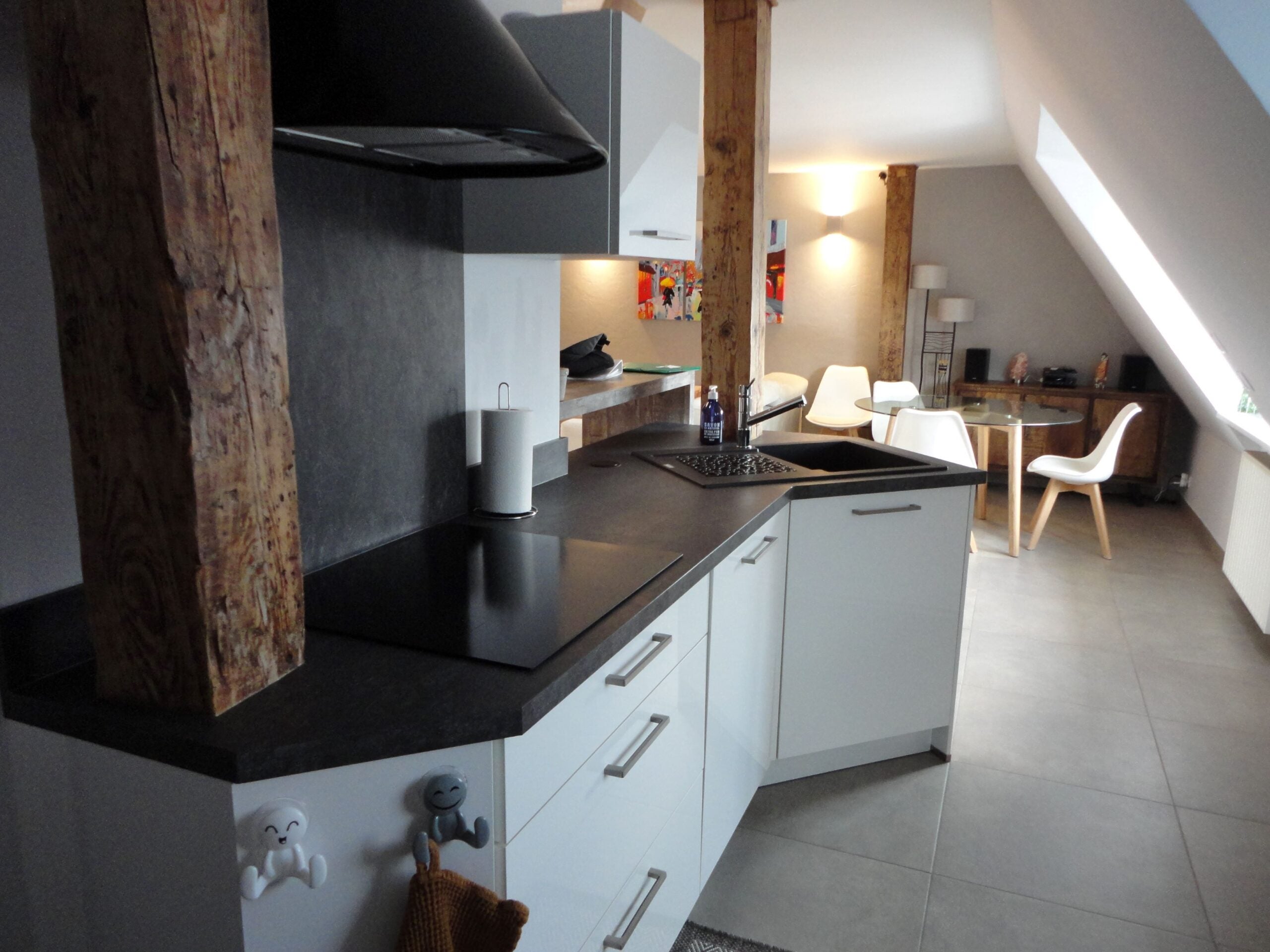Appartement Place du Maire Guntz à Haguenau