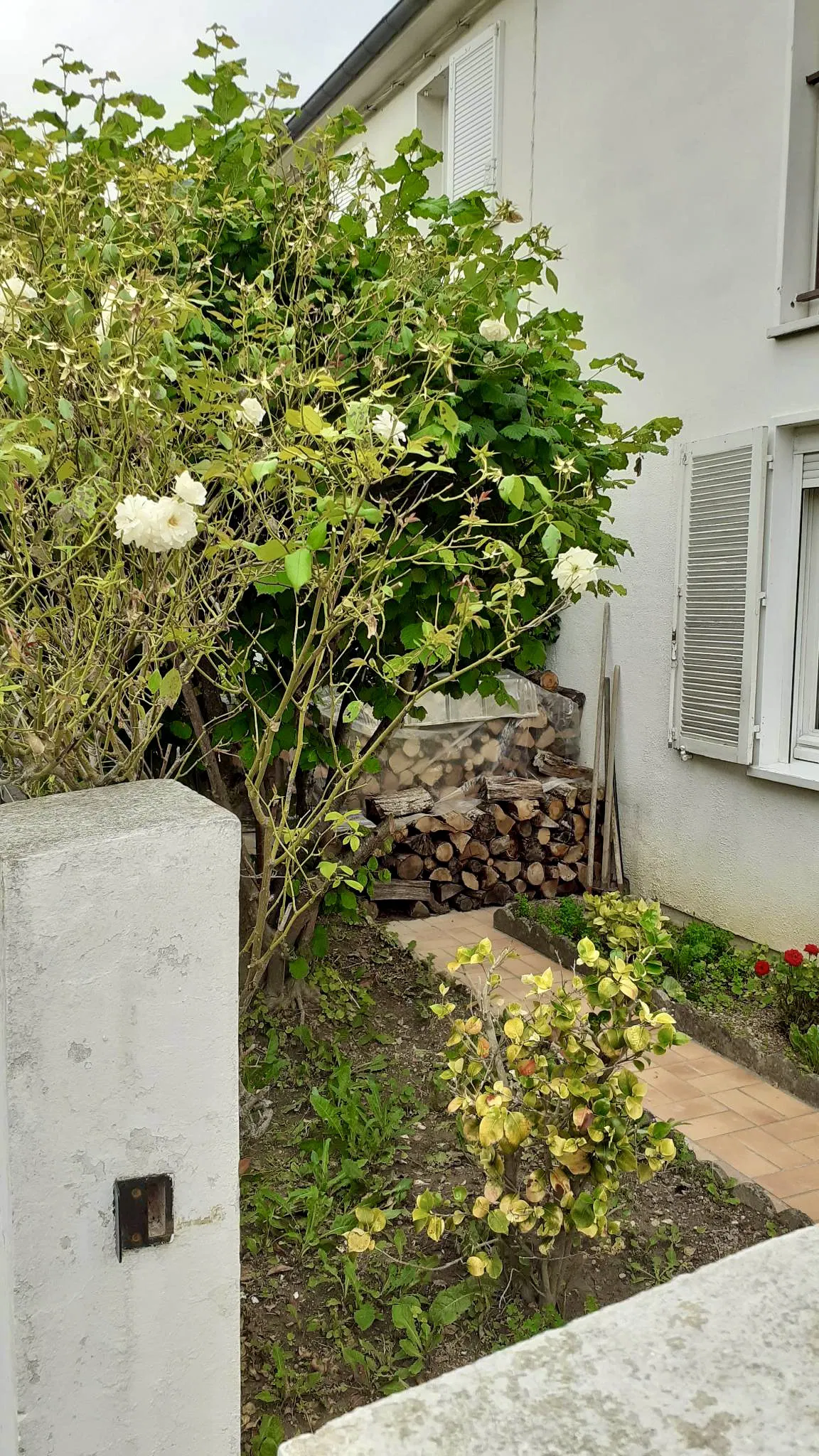 Chambre Rue Edgar Quinet à Saint-André-les-Vergers