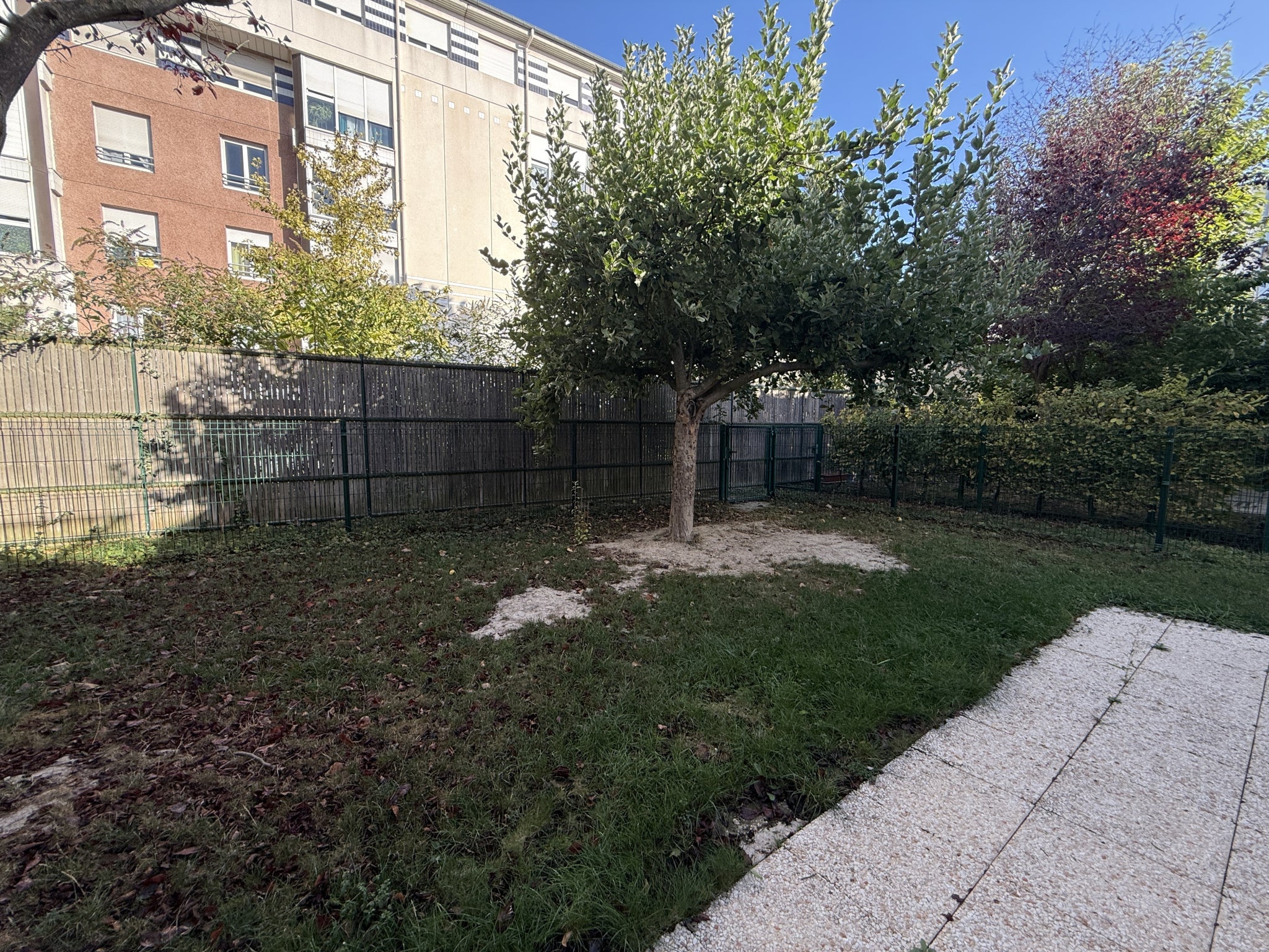 House Rue Folle-Peine in Reims