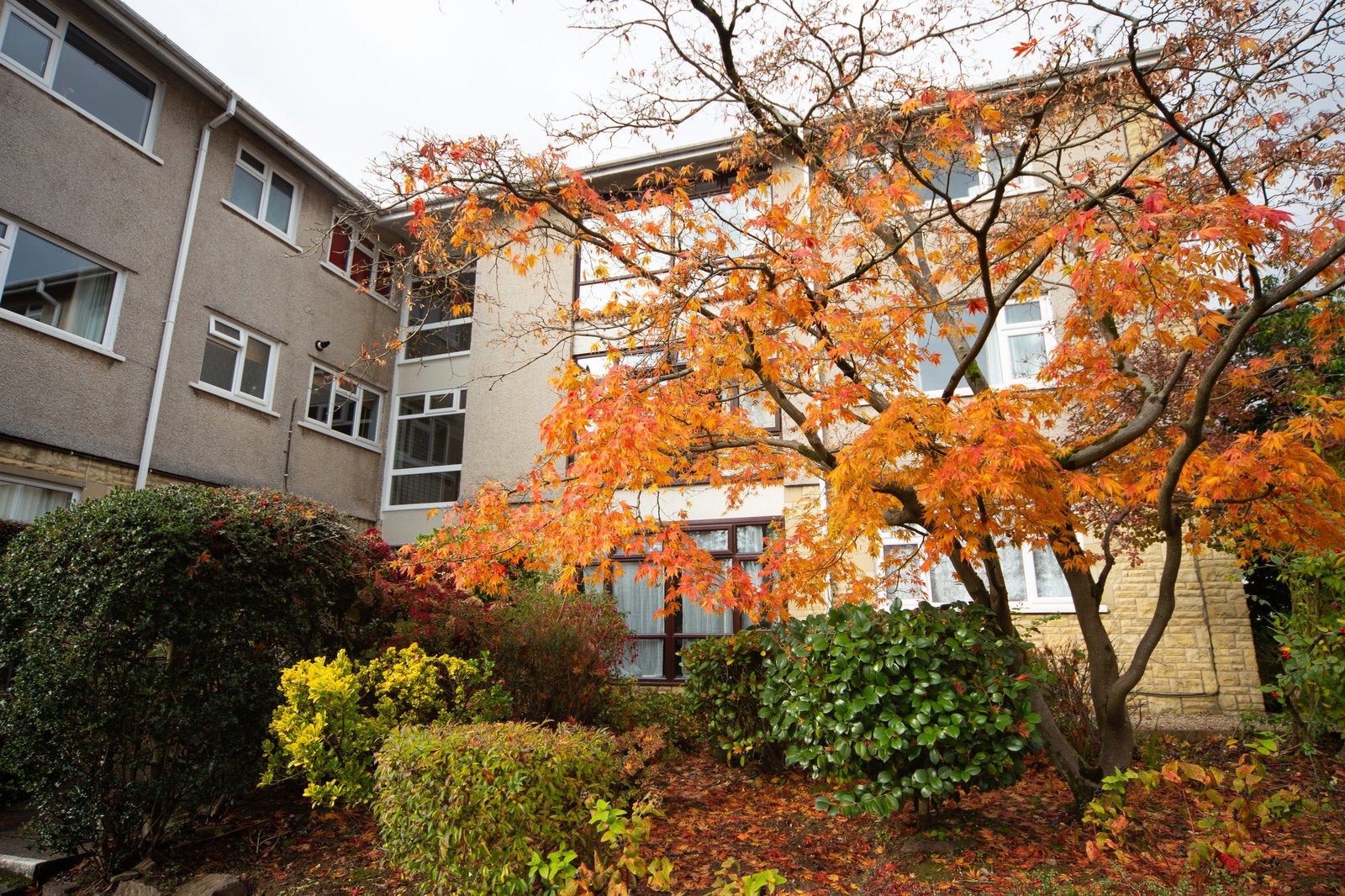 Flat Bessemer Close in Cardiff County