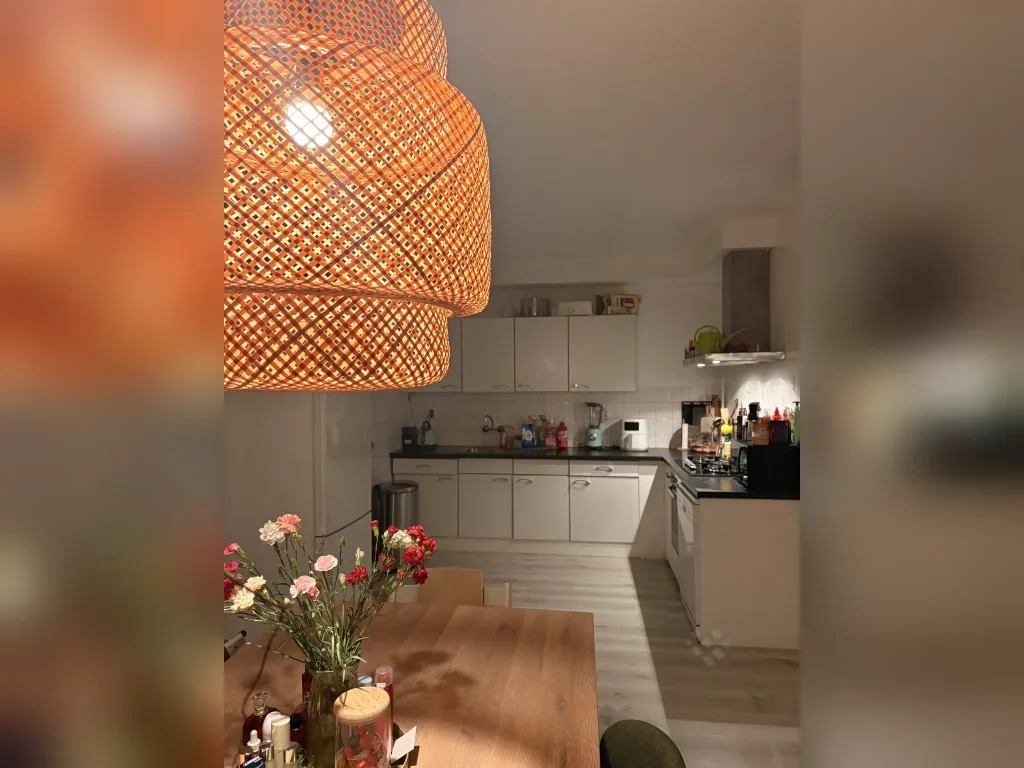 Huis Kaeriuslaan 2