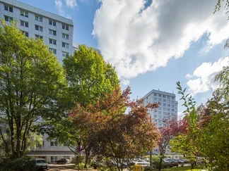 Wohnung Kiefernring in Potsdam