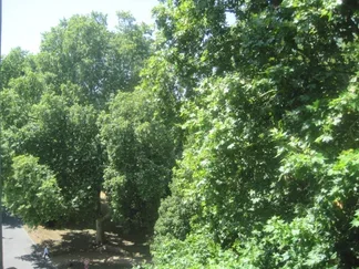 Wohnung Rebstöcker Weg in Frankfurt am Main