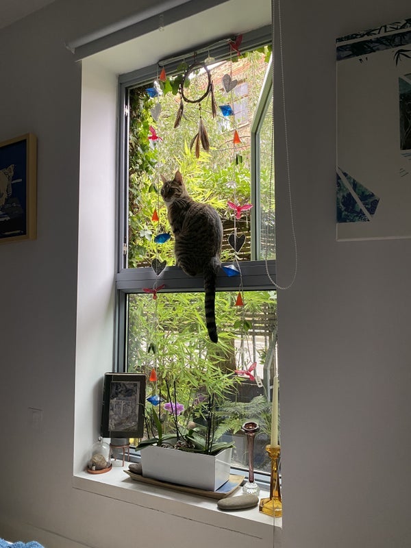 Room Clissold Road in Greater London