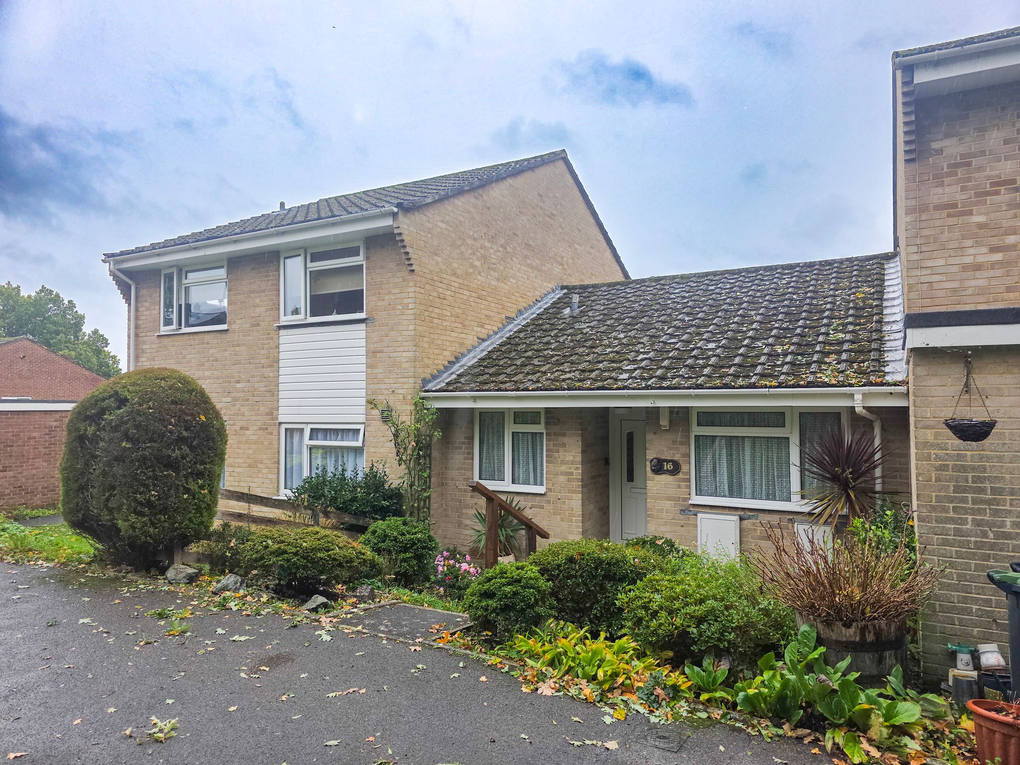 House Saddle Close in Colehill