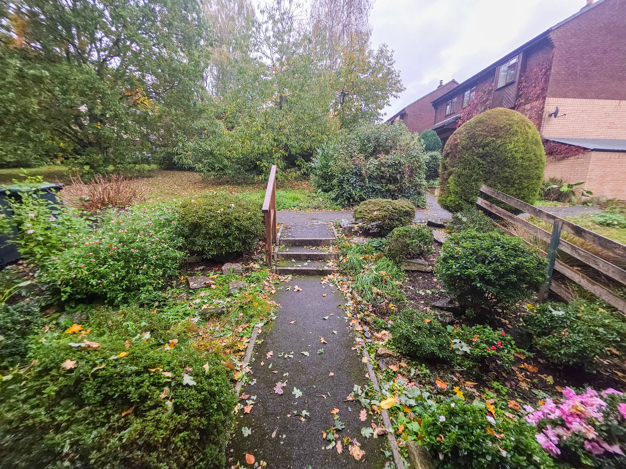 House Saddle Close in Colehill