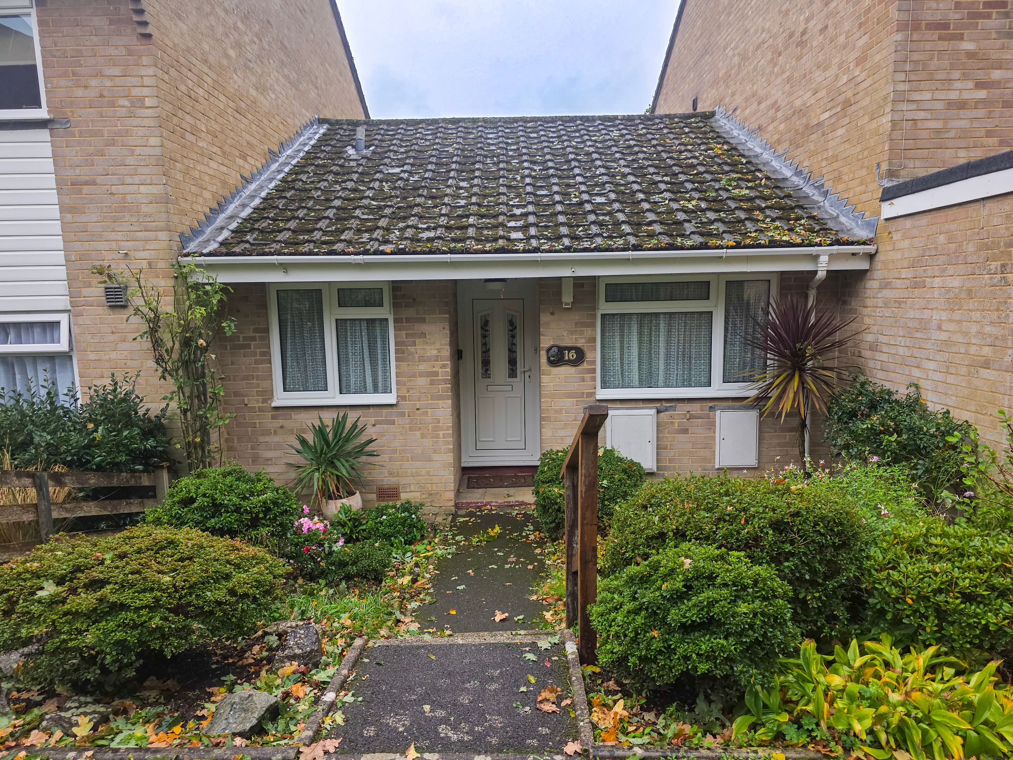 House Saddle Close in Colehill