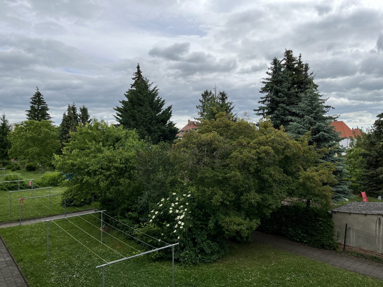 Zimmer Kornblumenweg in Halle (Saale)