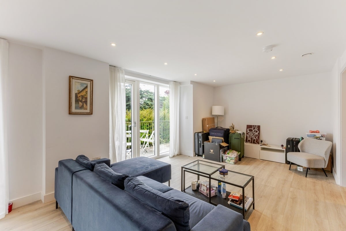 Flat Dog Kennel Hill in Greater London