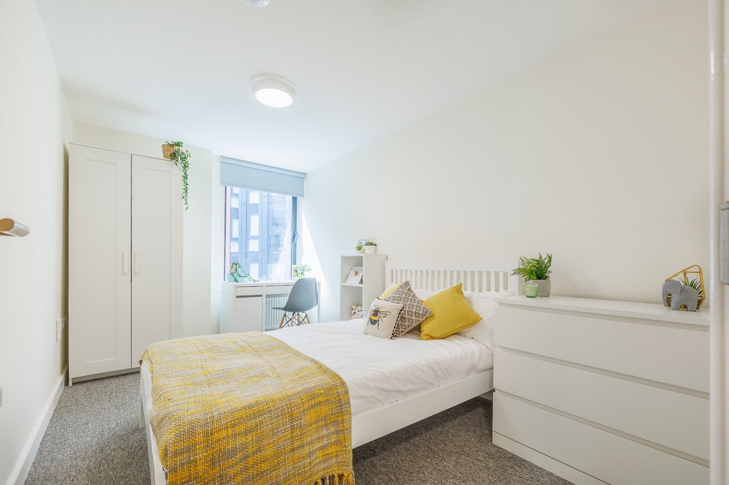 Flat Regent Street in Sheffield