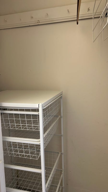 Room Marchmont Crescent in City of Edinburgh