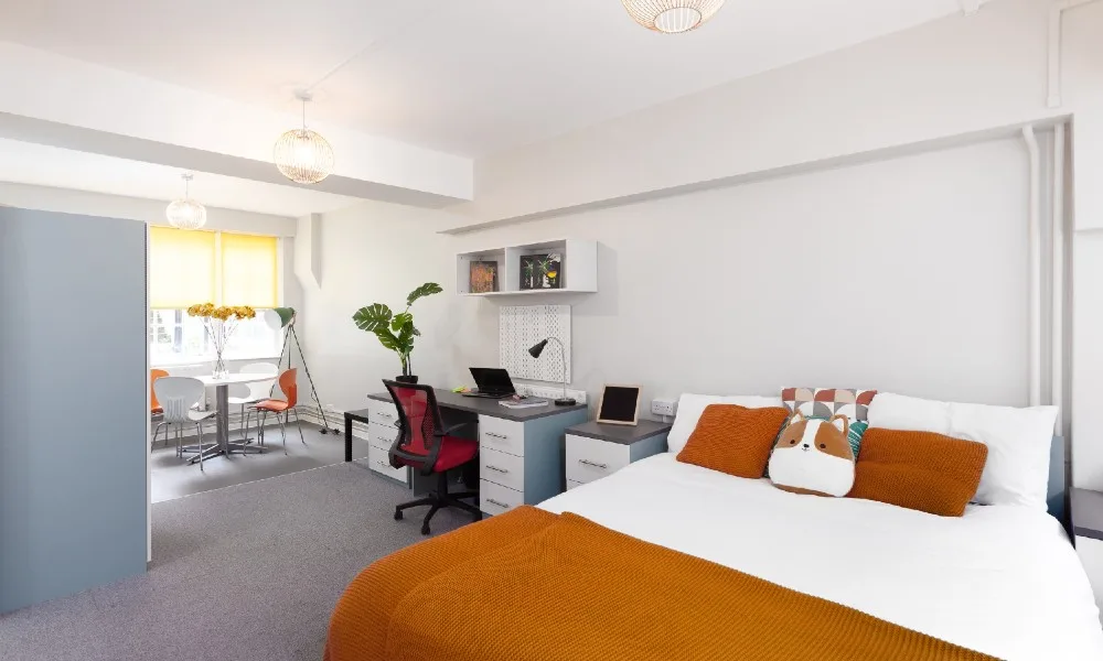 Room Medway Street in City of Westminster