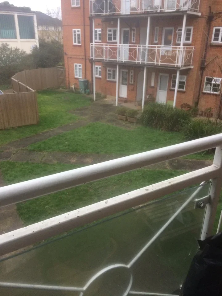 Room Grenville Place in Greater London