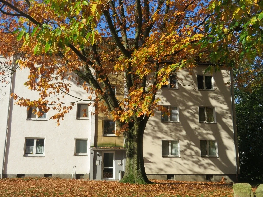 Wohnung Wurmker Weg in Herford-Stadt