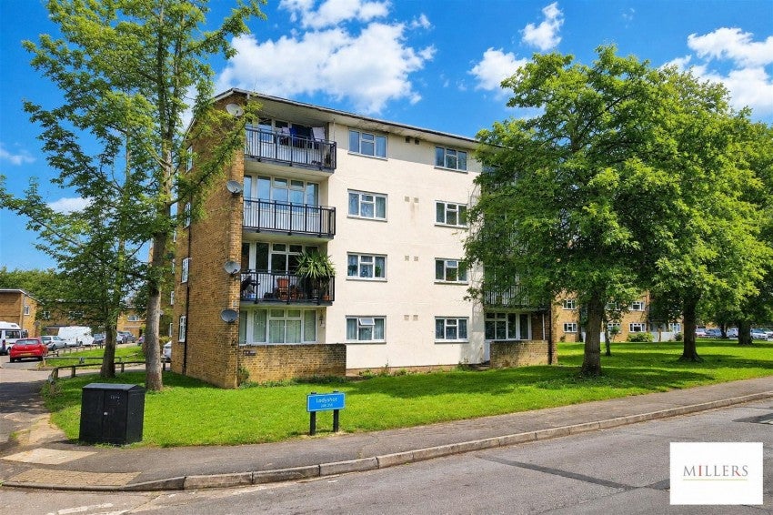 Flat Ladyshot in Harlow
