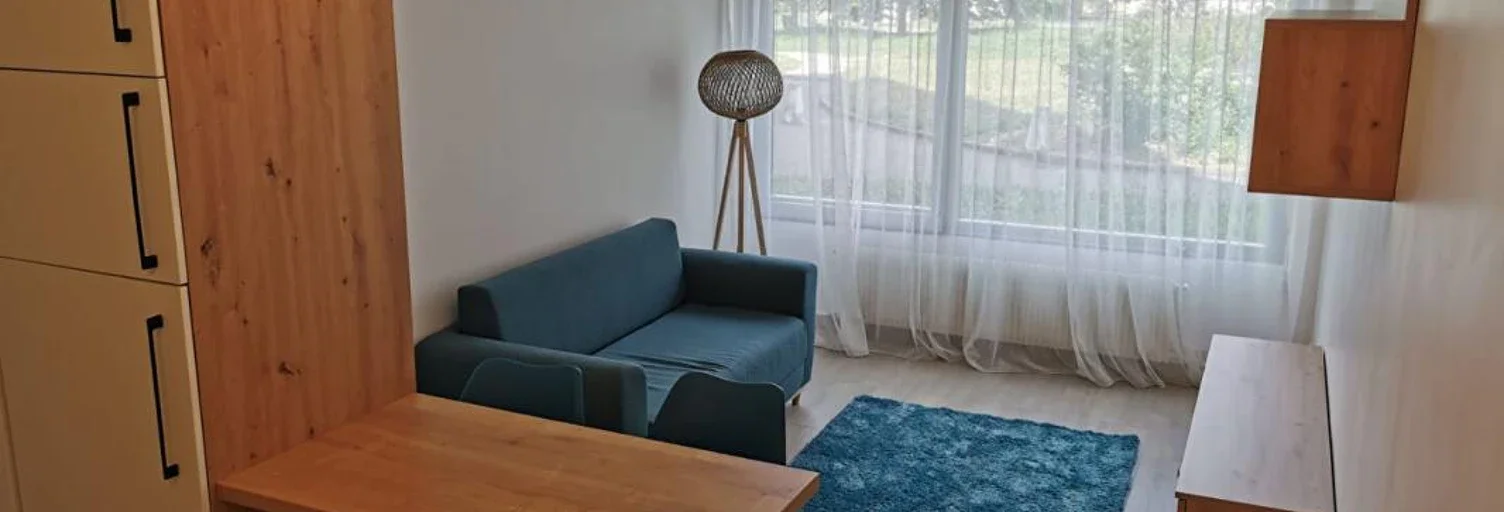 Appartement Rue Bataille à Lyon