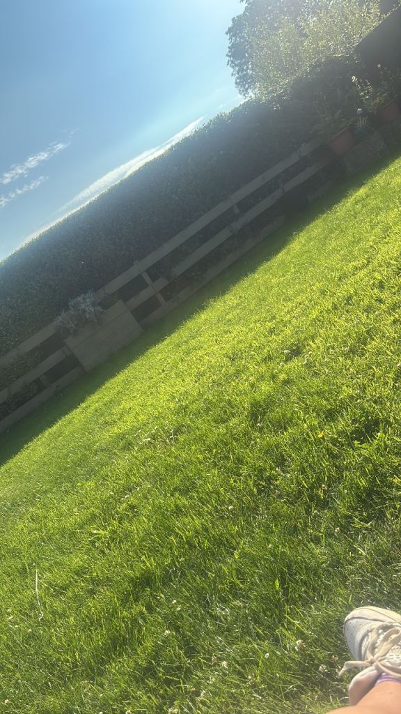 House Reilly Park in Banbridge