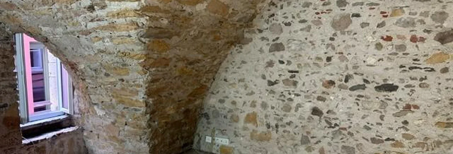 Appartement Montée Saint Barthélémy à Lyon