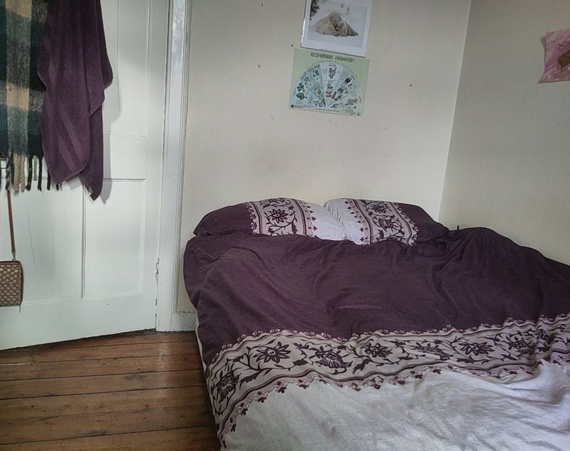 Room Buccleuch Street in City of Edinburgh