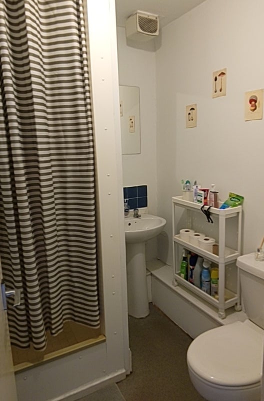 Room Buccleuch Street in City of Edinburgh