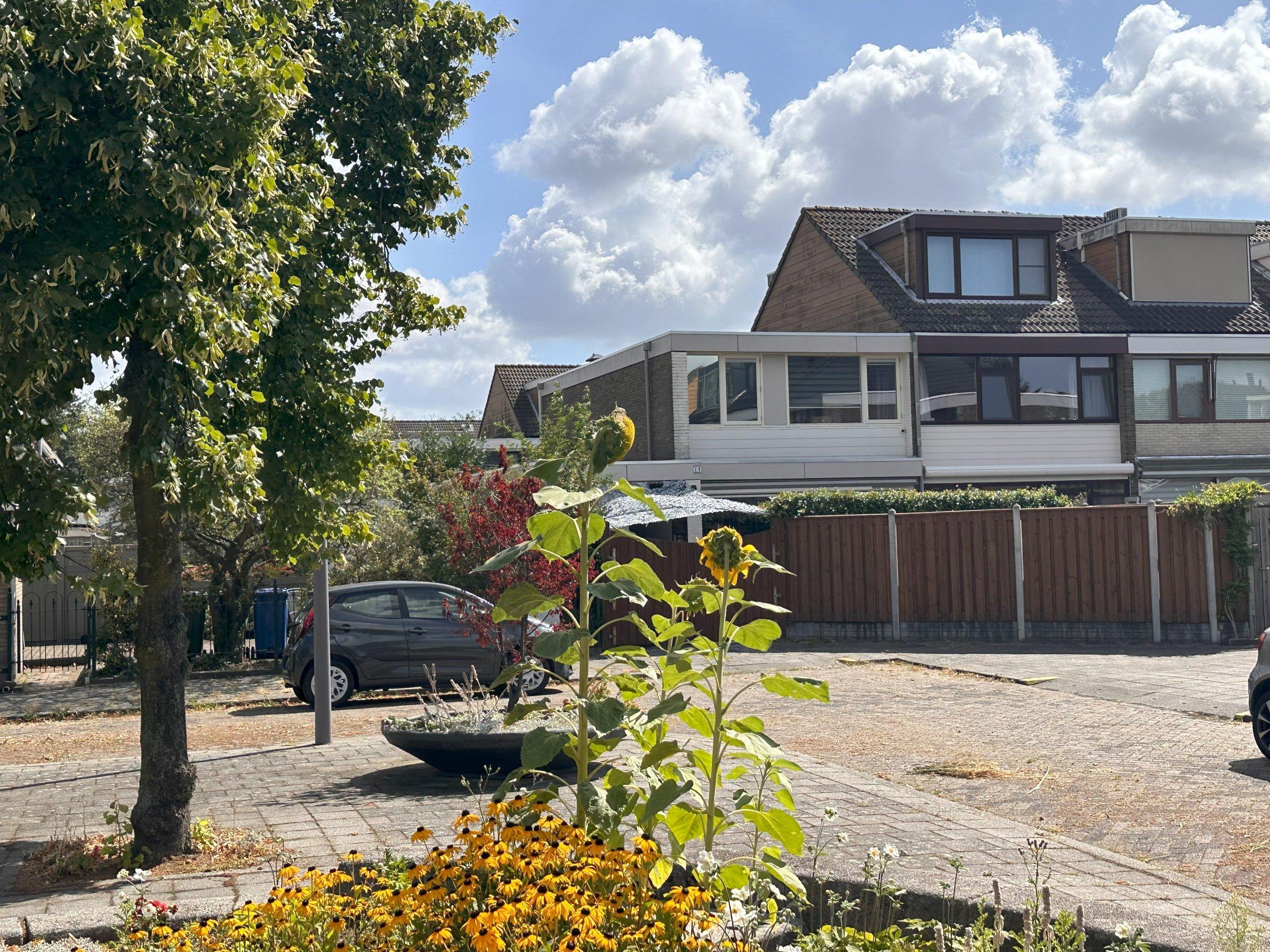Huis Smallandstraat in Pernis Rotterdam