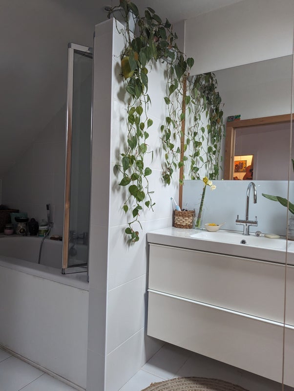 Room Trinity Road in Greater London