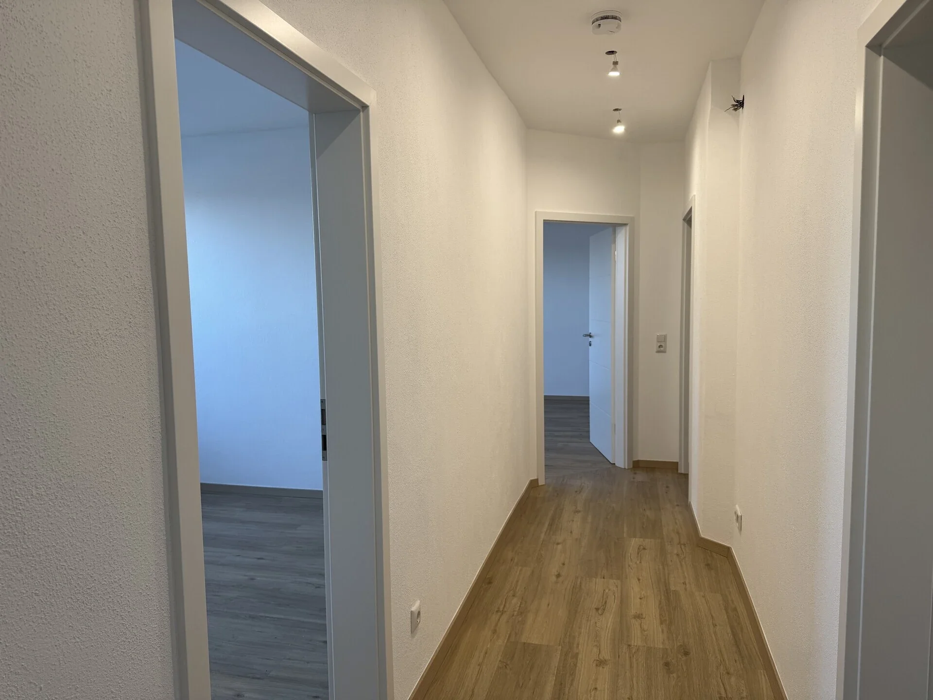 Wohnung Meißner Straße in Diera-Zehren