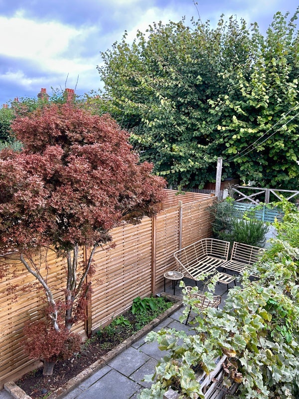 Room Haverhill Road in Greater London