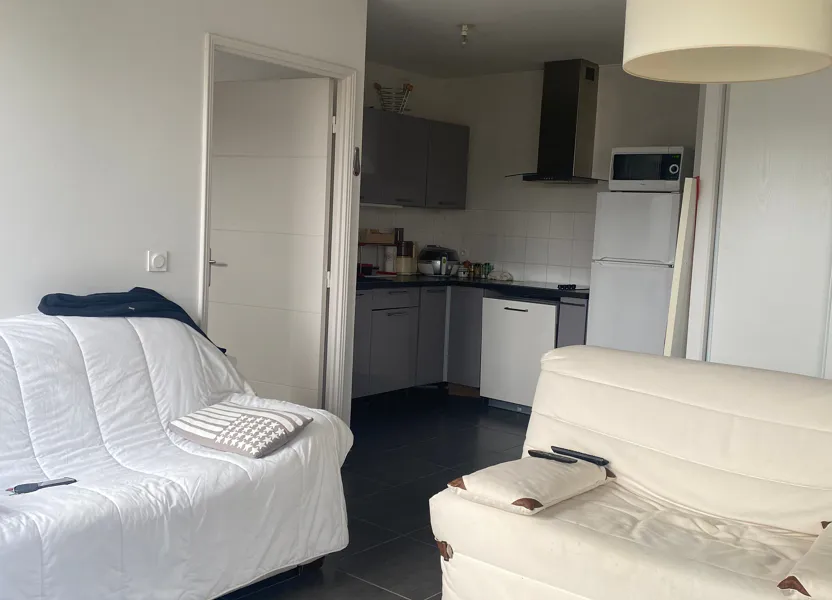 Appartement Avenue du Général Dwight Eisenhower à Lyon