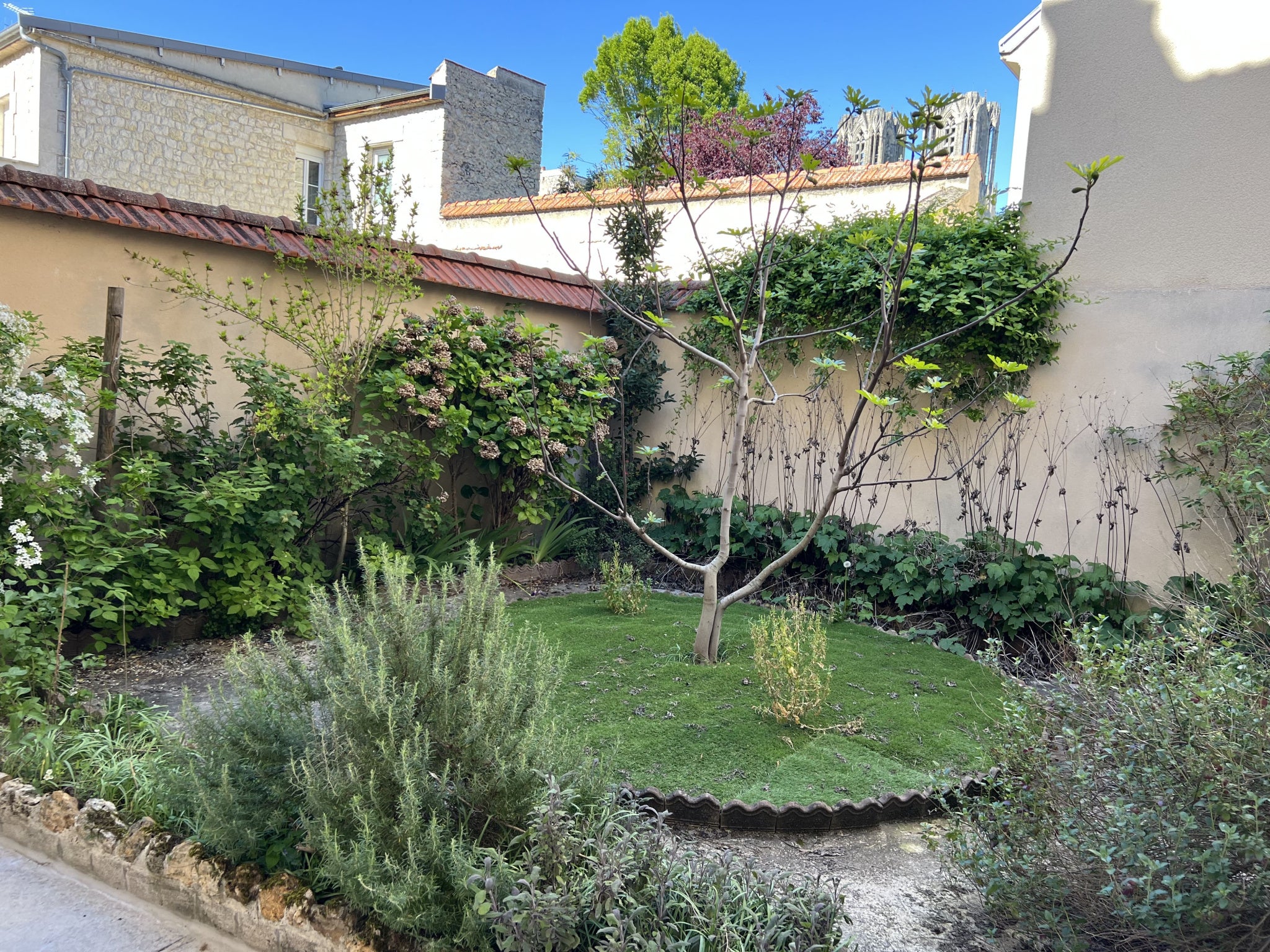 Flat Coulée Verte de Reims in Reims
