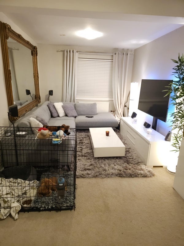 Room Mitchell Avenue in Cambuslang