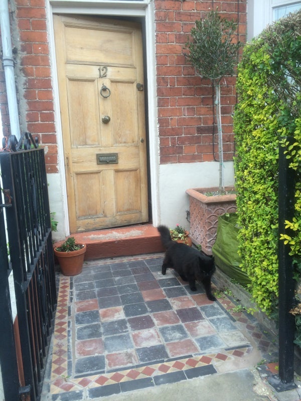 Room Ingestre Road in Stafford
