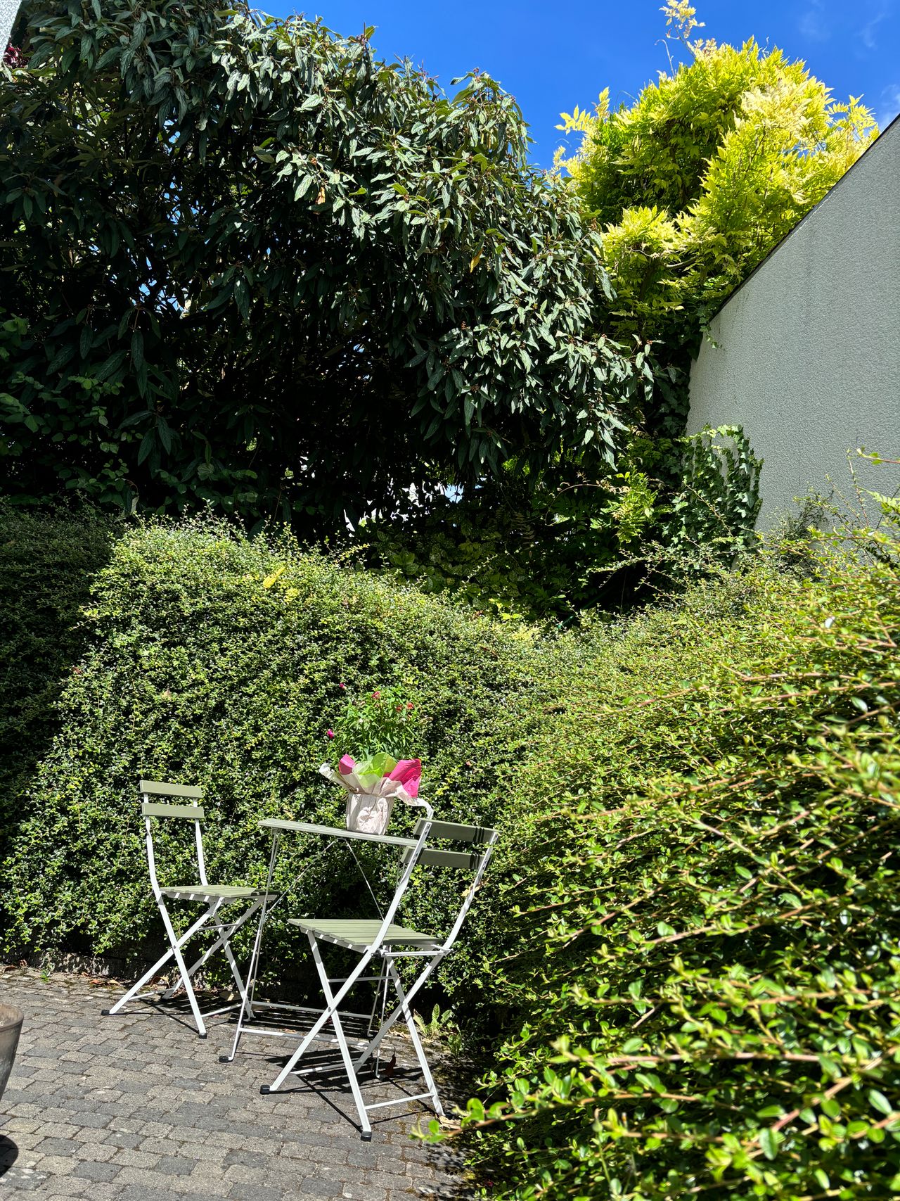 Wohnung Susannastraße in Wiesbaden