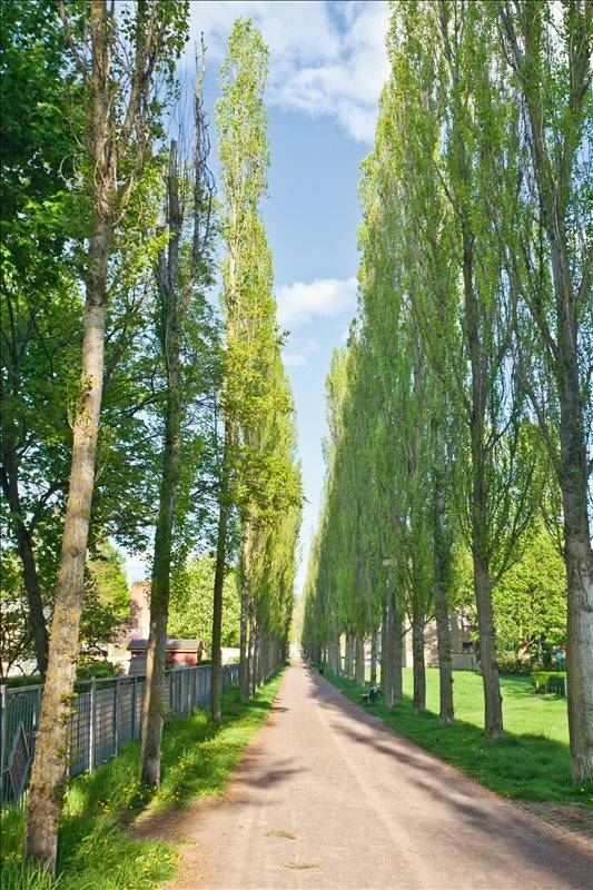 Wohnung Seehäuser Straße in Magdeburg
