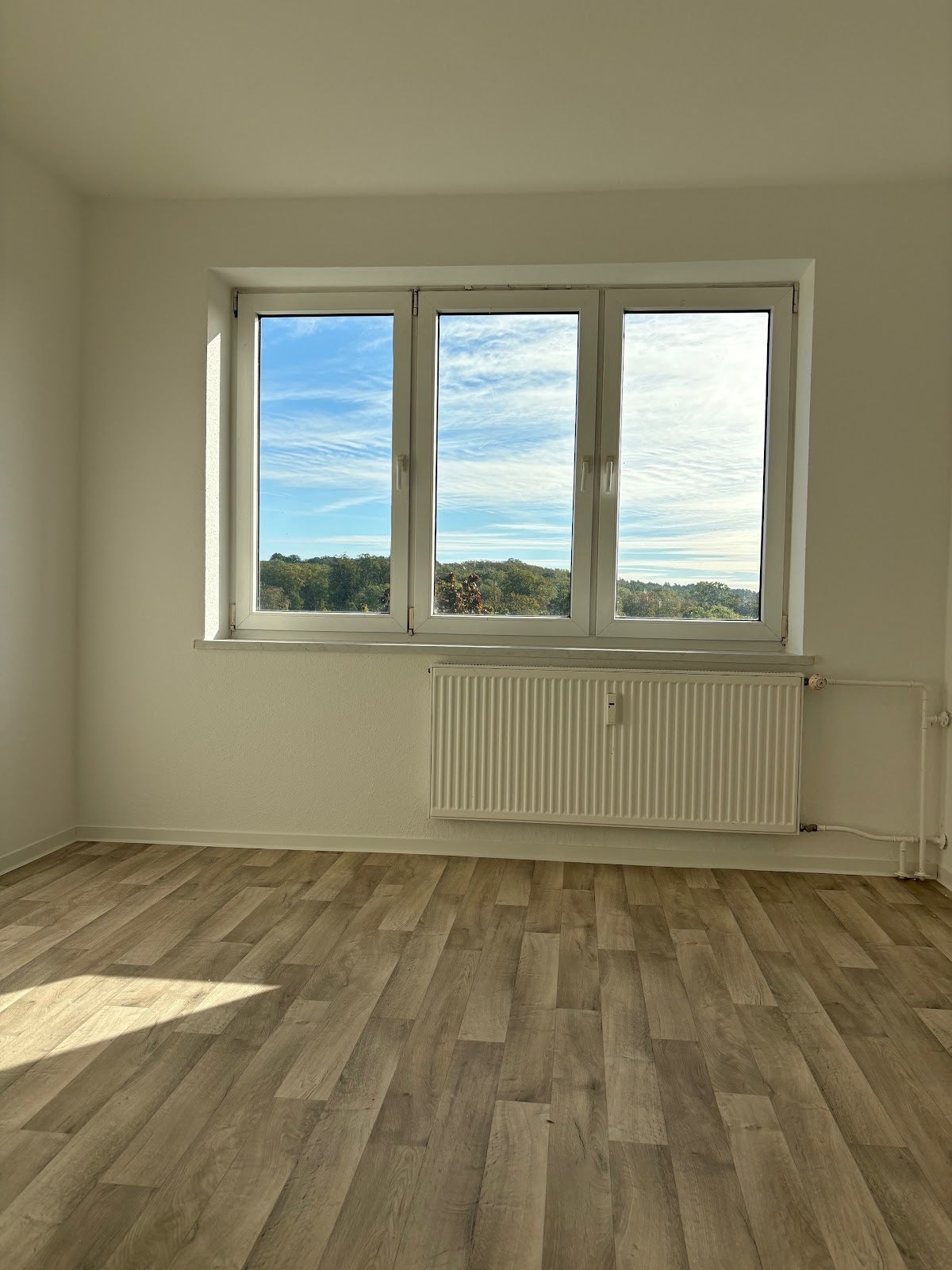 Wohnung Monckeshofer Straße in Neubrandenburg