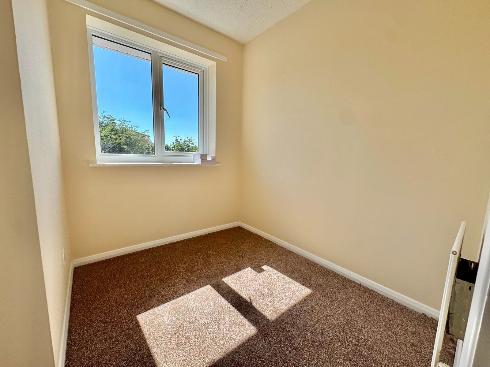House Trentham Close in Paignton