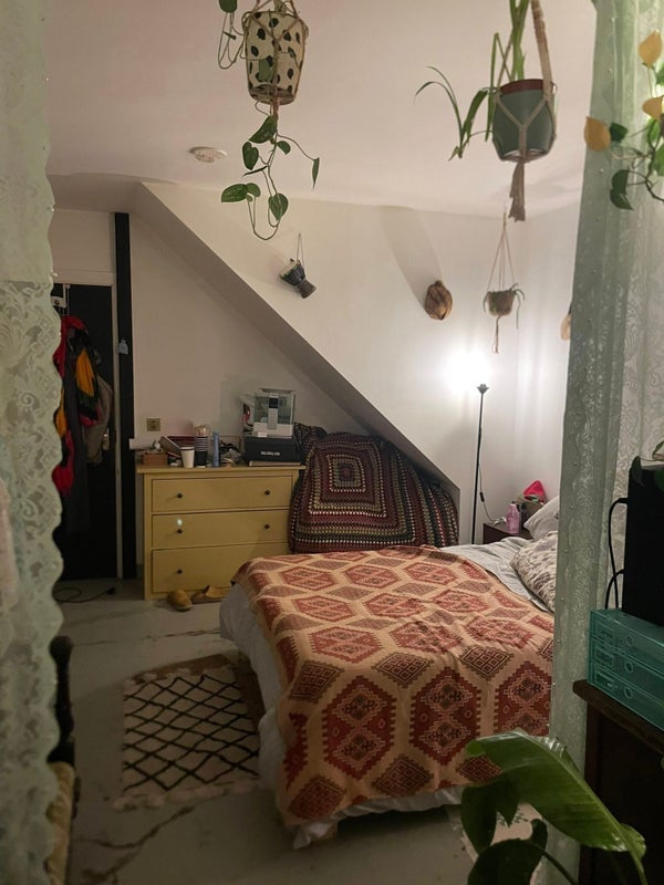 Room Ashfield Road in Greater London