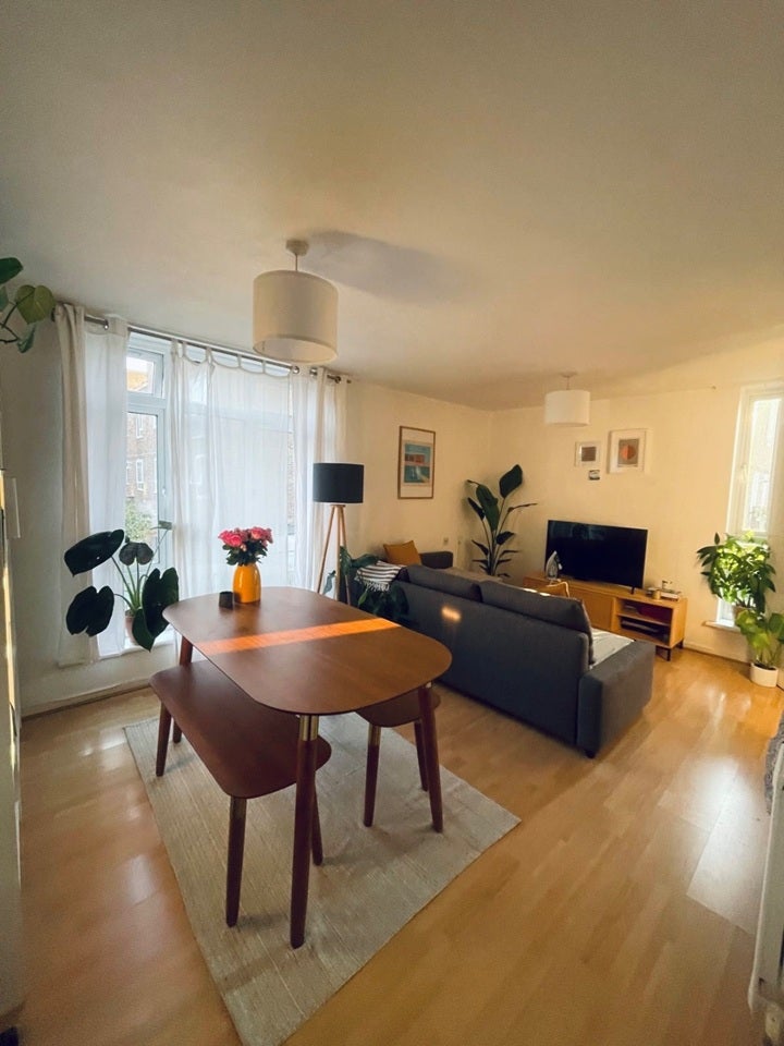 Flat Mullet Gardens in Greater London