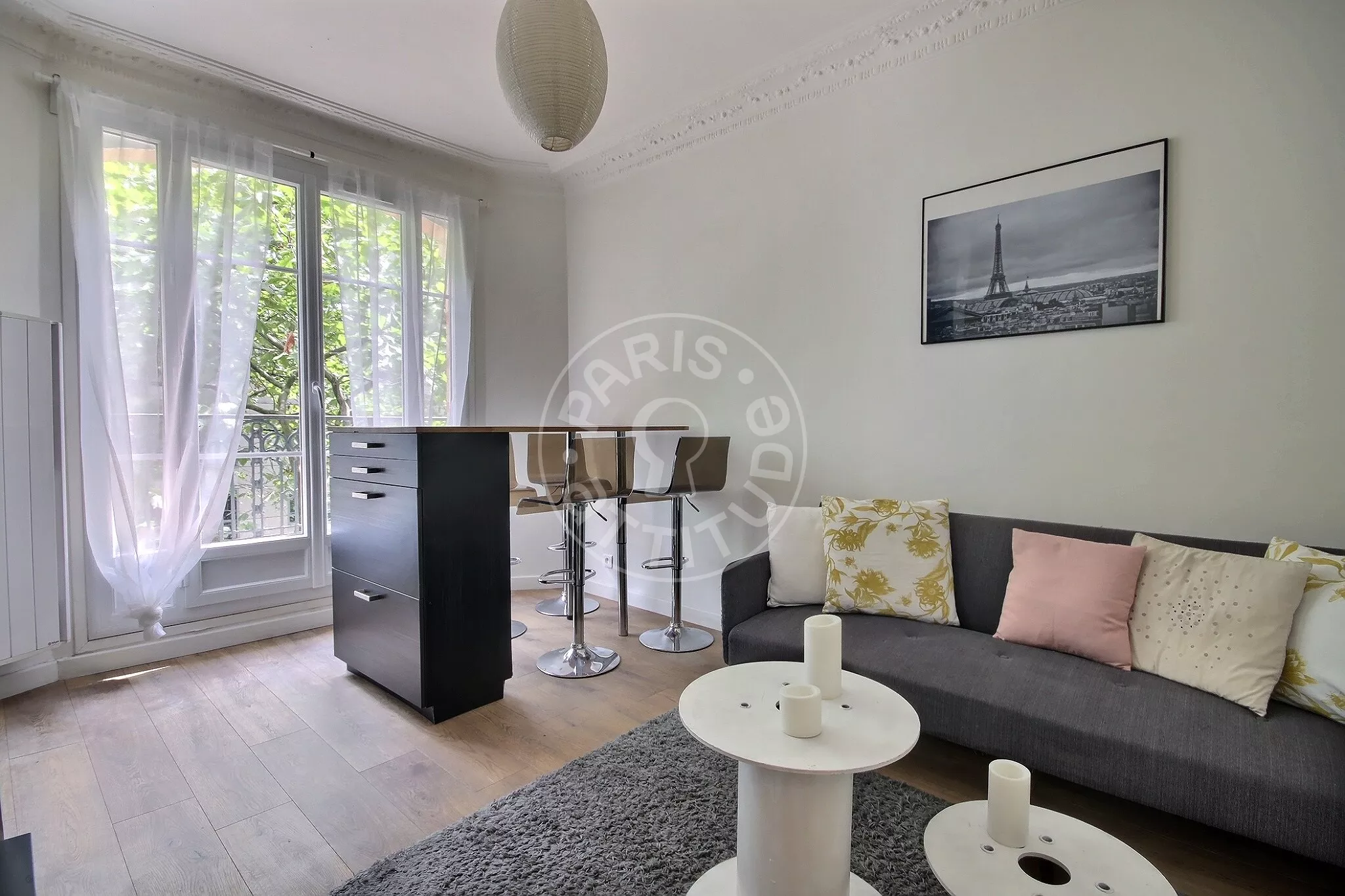 Flat Rue du Docteur Paquelin in Paris