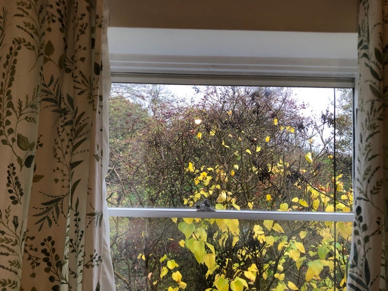 Room Perry Hill in Chelmsford