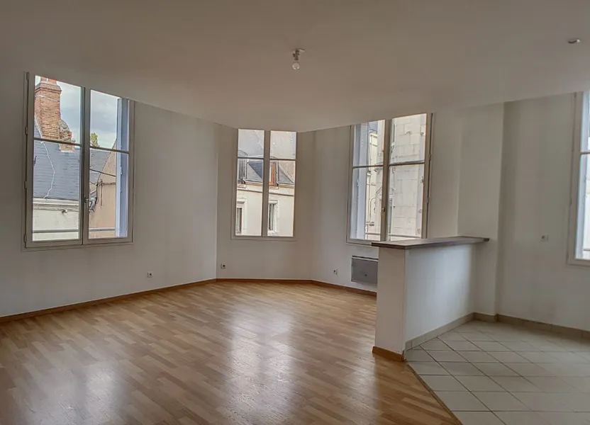 Appartement Rue de la Porte Saint-Jean à Orléans