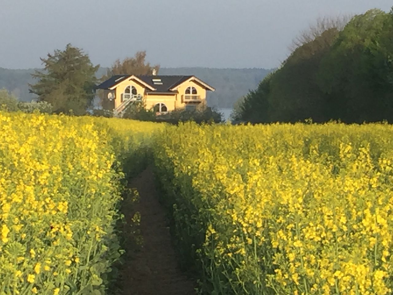Wohnung Bicheler Berg in Bosau