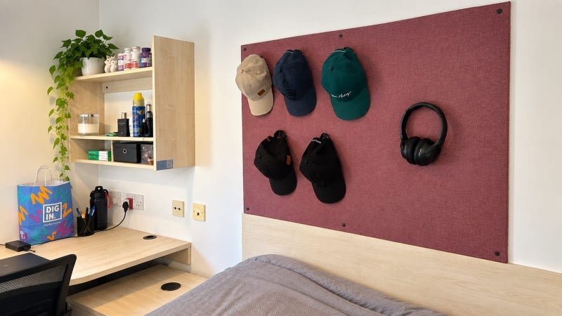 Room Alma Street in Sheffield