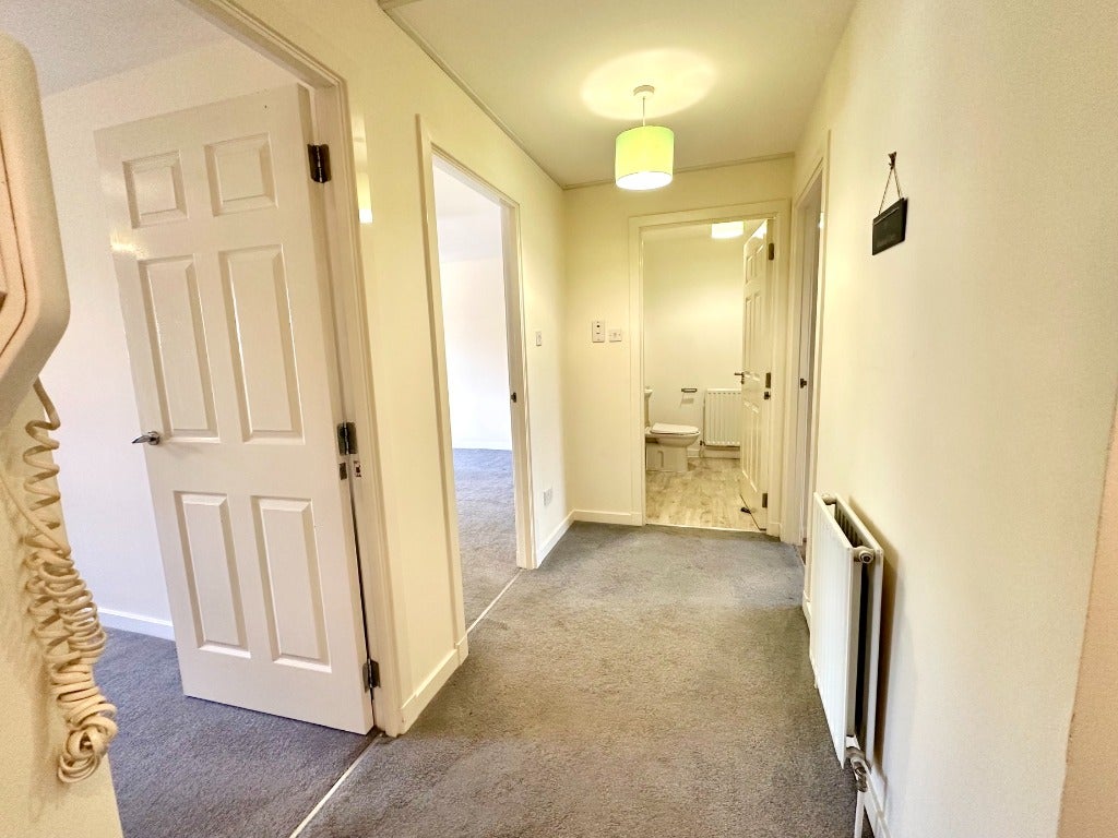 Flat Cadzow Street in Hamilton