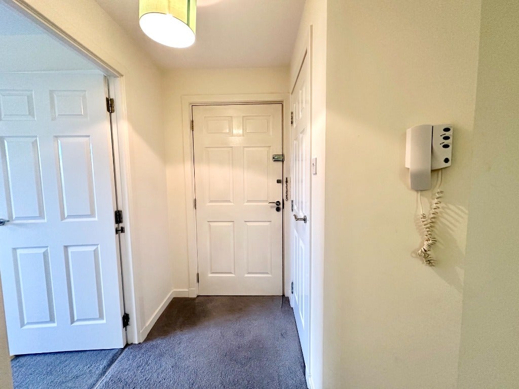 Flat Cadzow Street in Hamilton