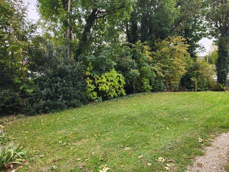 Room Park Hill in Greater London